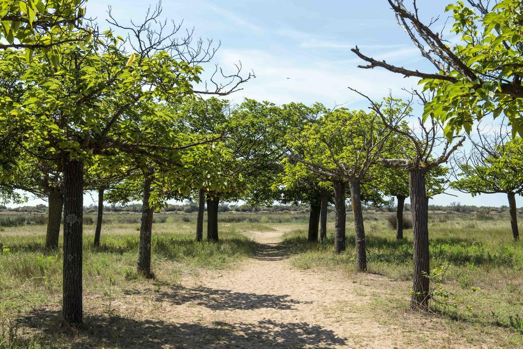Domaine Les Muriers วองเดรอส์ ภายนอก รูปภาพ
